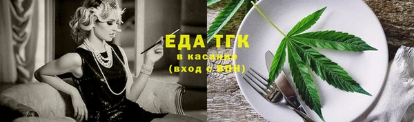 индика Абаза