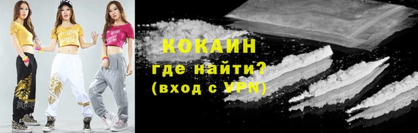 гашик Алексеевка