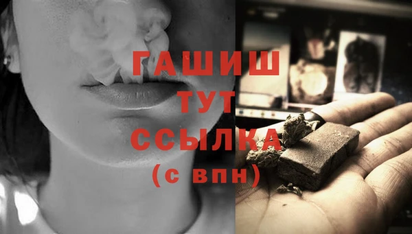 индика Абаза