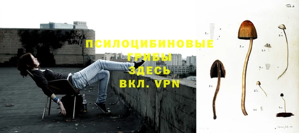 индика Абаза