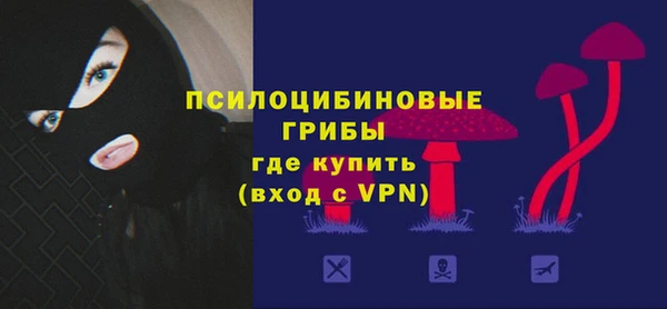 индика Абаза