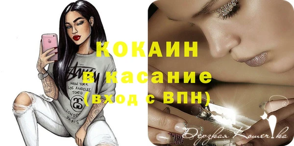 индика Абаза