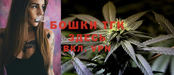 гашик Алексеевка