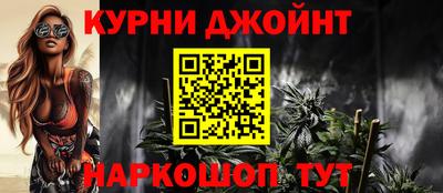 гидра Гай