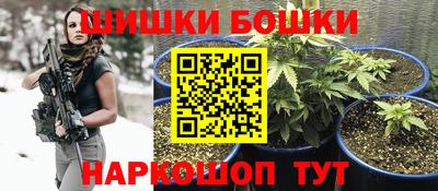 гидра Гай