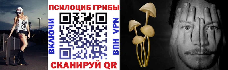 Галлюциногенные грибы мицелий  Ярославль 