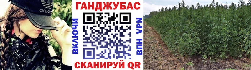 Бошки марихуана индика  Ярославль 